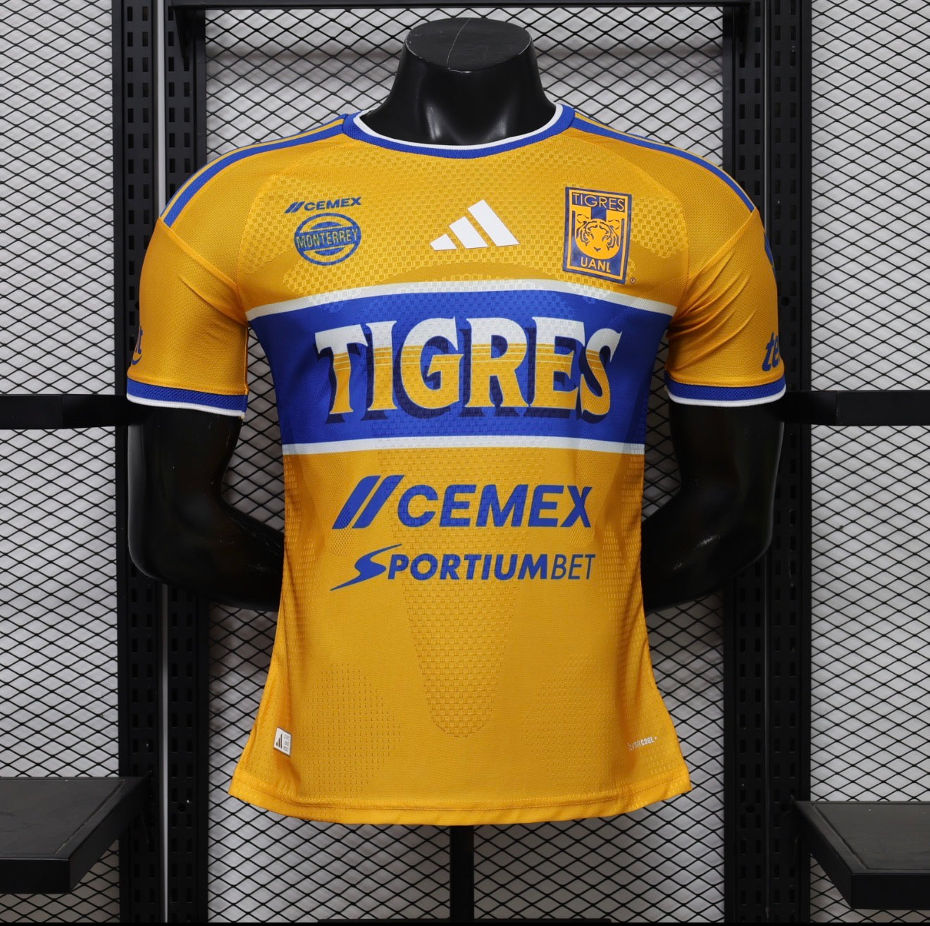 Tigres 26/27 Player version